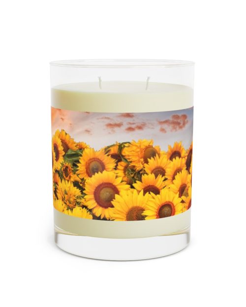 Full glass candle – Sunflowers