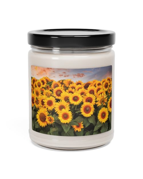 Glass jar candle – Sunflowers